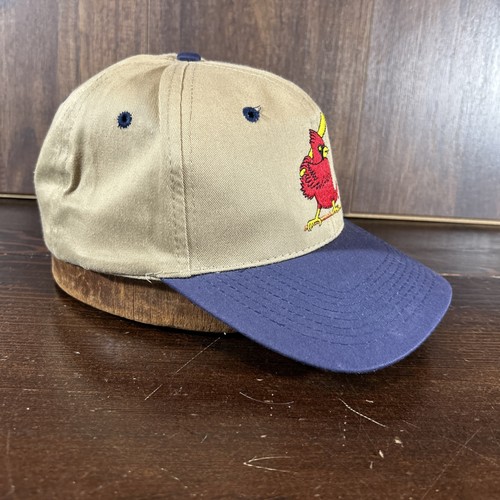VTG BUSCH BEER ST. LOUIS CARDINALS MLB BASEBALL SNAPBACK HAT ~ TRUCKERS CAP SGA - Picture 3 of 10