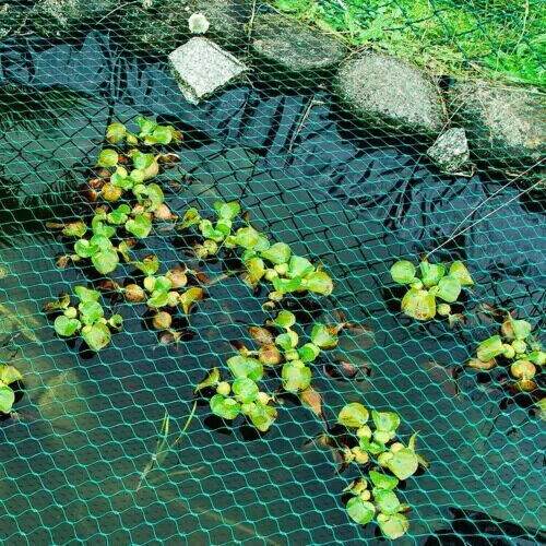 6 Anti Bird Garden Netting Pond Net Protection 4mX10m Plant Veg Crop Fruit Mesh - Picture 6 of 11
