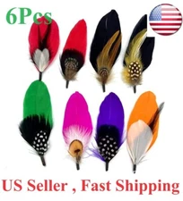 Hat Feathers 6 Pcs Assorted Natural Feather  Accessories for Fedora Cowboy hat.