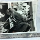 Picture 6 of 8