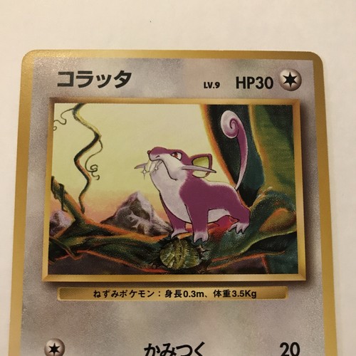 Common Japanese Pokemon Card Base Set Rattata No. 19 NM Never Played - Picture 3 of 4