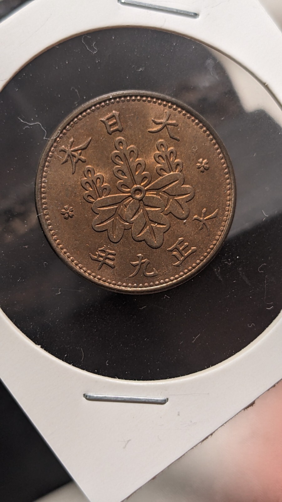 Picture 5 of 17