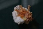 Picture 3 of 8