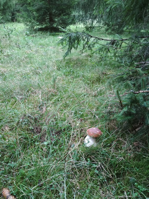 Picture 10 of 14