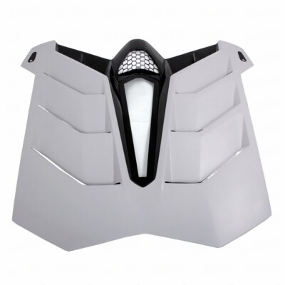 LAMBORGHINI AVENTADOR SVJ Carbon, rear engine cover bonnet