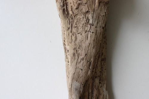 Treibholz Schwemmholz Driftwood 1 XL Wurzel Basteln Dekoration 75 cm hoch - Bild 11 von 15