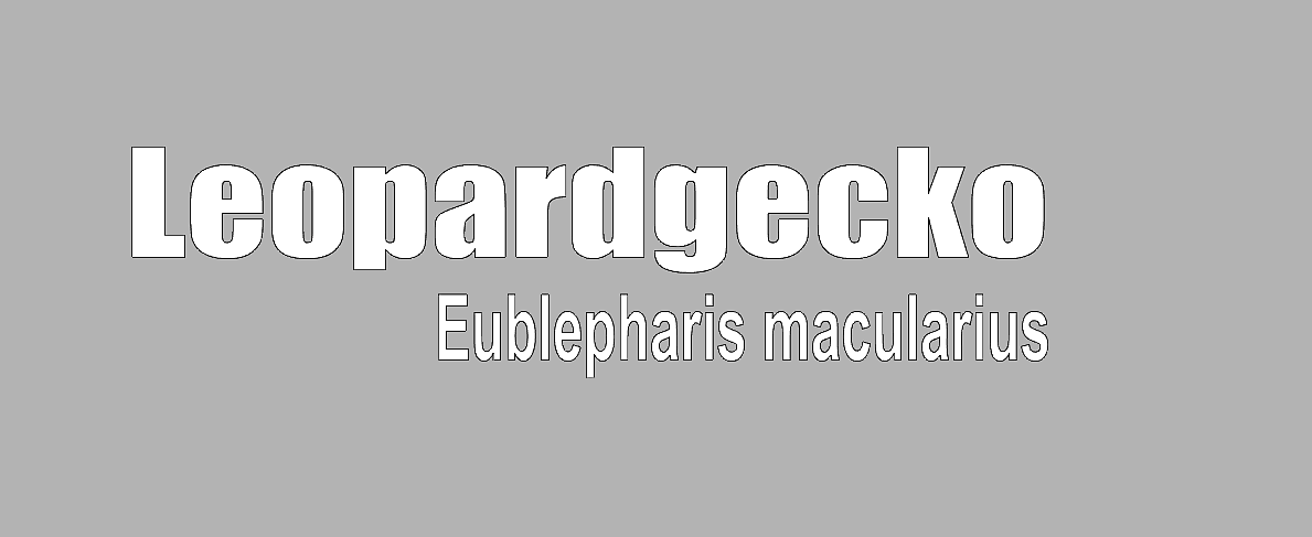 Bild 7 von 22