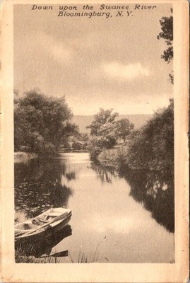 Down Upon Swanee River Bloomingburg NY 1907 12 PC Rotograph Sepia