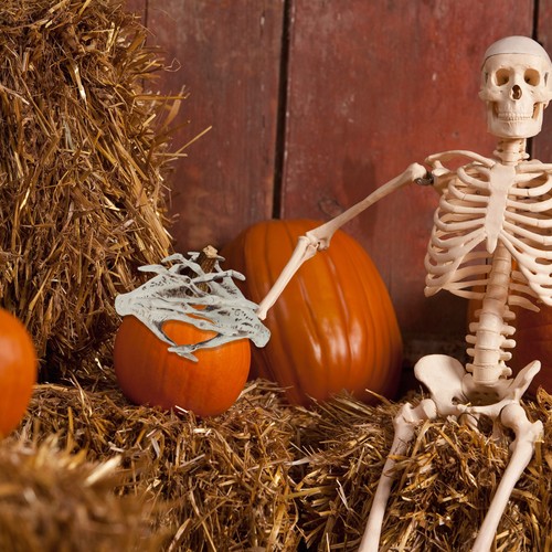 Hexenkrallen Grusel Deko Halloween Deko Outdoor Skelett - Bild 6 von 12