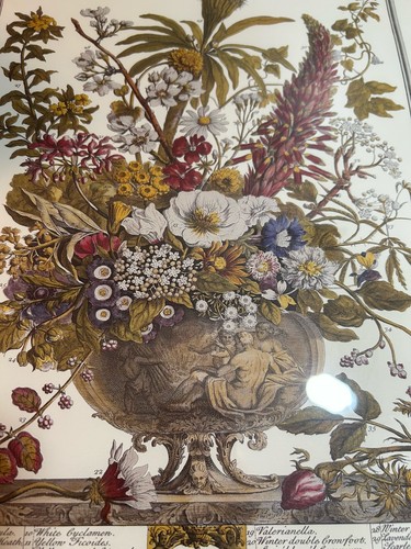 Vintage Robert Furber Gold gerahmter Druck Blume des Monats Dezember 23,5x19,25 - Bild 4 von 11