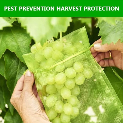 Organza Fruit Protection Bags in Green Color Size 4x6 Inch Pack of 100 - Picture 19 of 23