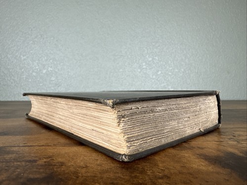 Fossil Men And Their Modern Representatives By J. W. Dawson 1880~Prehistoric Man - Bild 4 von 20