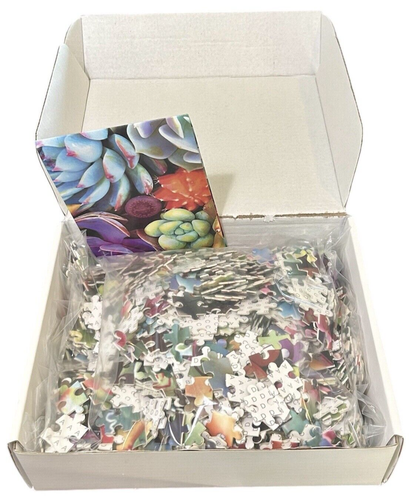 Succulent Plants Colorful Succulents Jigsaw Puzzle 1000 Pieces - Picture 3 of 4
