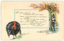 A Good Wish For Thanksgiving Day Turkey And Hunter With Gun Behind Tree Postcard