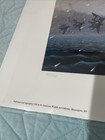 Picture 6 of 11