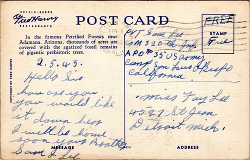 postcard AZ Fred Harvey The Petrified Forest, after painting by Thomas Moran - Picture 2 of 2