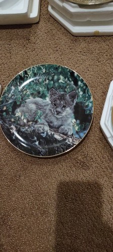 charles frace platten, 5er Set, Jaguar, Bobcat - Bild 3 von 8