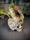 Skull Of The Demon Snail Planter - Decorative Indoor Planter Pot