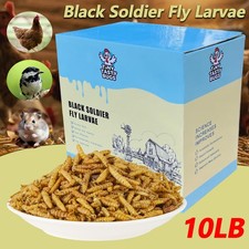 10LB Dried Black Soldier Fly Larvae Mealworms for Chicken Birds Treats Non-GMO