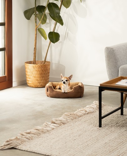 lionto Hundesofa & Katzenbett – weich, komfortabel, in Größen & Farben wählbar - Bild 13 von 16