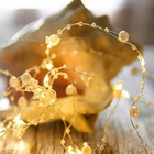 20 LED Light Strings Warm Light for Stage Yard Garden Party Decoration