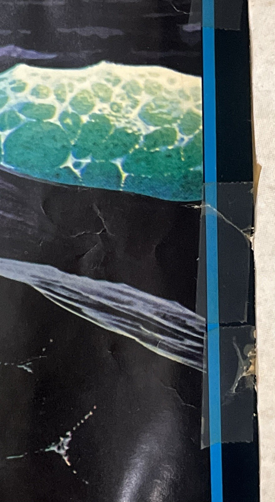 Picture 8 of 13