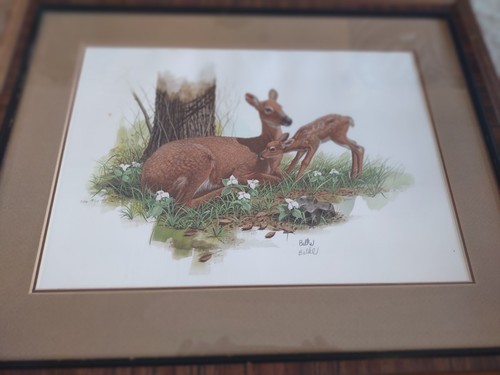 RARE Don Balke Signed Lithograph Deer Professional Framed & Matted 16" X 20"๐ฆ - Picture 7 of 12