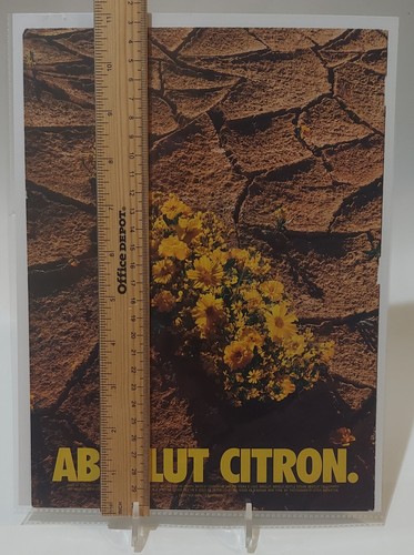 Anuncio de revista Absolute Citron Vodka flores amarillas - Imagen 5 de 5