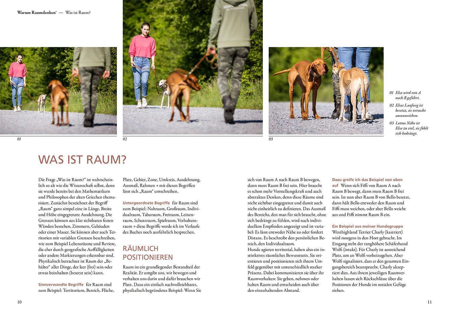 Thumbnail - Raumdenken® In Der Hundeerziehung | Ursula Löckenhoff | Buch | 224 S.
