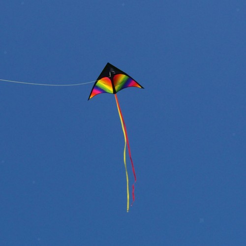 Giant Delta Kite Easy to Fly with Tail for Family Trips Garden Toy - Picture 7 of 7