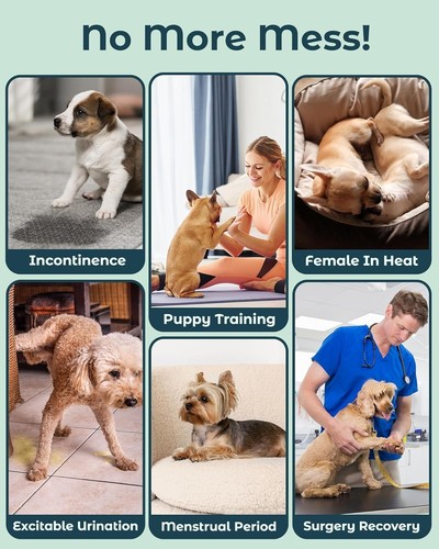 Pañales suaves para mascotas perros hembra lavables con tirantes braguita, absorbente talla M (3) - Imagen 6 de 9