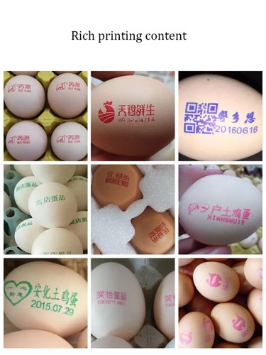 Automatic Egg Inkjet Printer Duck Egg Pigeon Egg Coding Machine Inkjet Printer - Bild 4 von 7