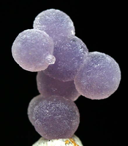 GRAPE AGATE Specimen Chalcedony Crystal Cluster Mineral INDONESIA w/ ID card