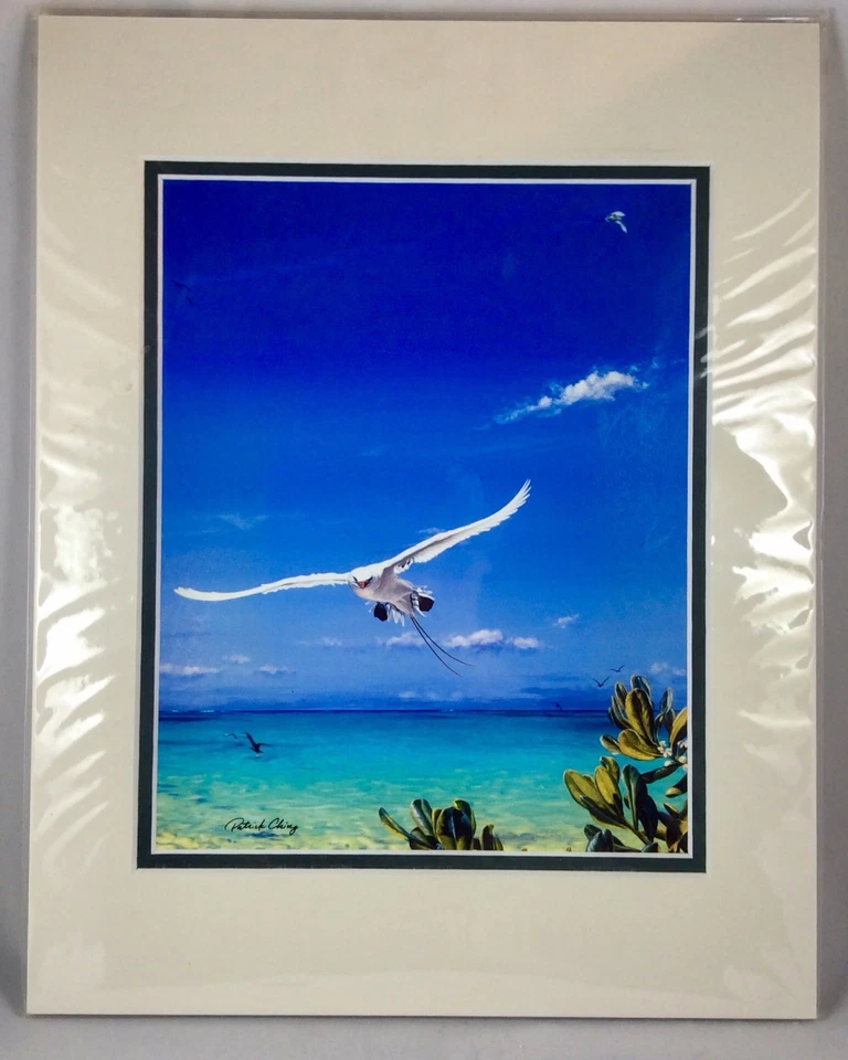 (TROPICBIRD)print By Patrick Ching,A Red-tailed Tropicbird Hovers Over Lagoon. - Image 3 of 3