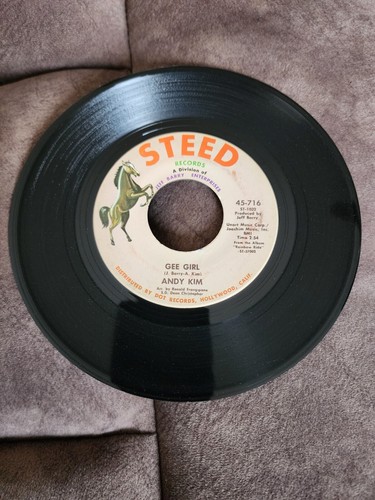 ANDY KIM: BABY, I LOVE YOU / GEE GIRL (1969) Vinyl 45 RPM Pop Rock - Picture 2 of 2