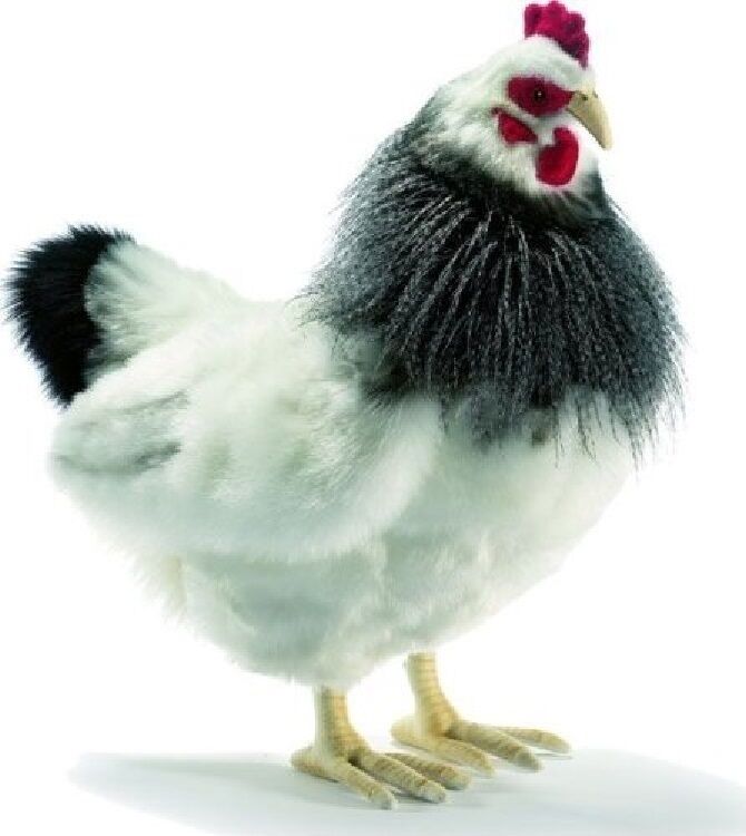 Hansa Toy 5034 pollo blanco y negro 40 cm irse a peluche animal de peluche Hansa Toy 5034 pollo blanco y negro 40 cm irse a peluche animal de peluche