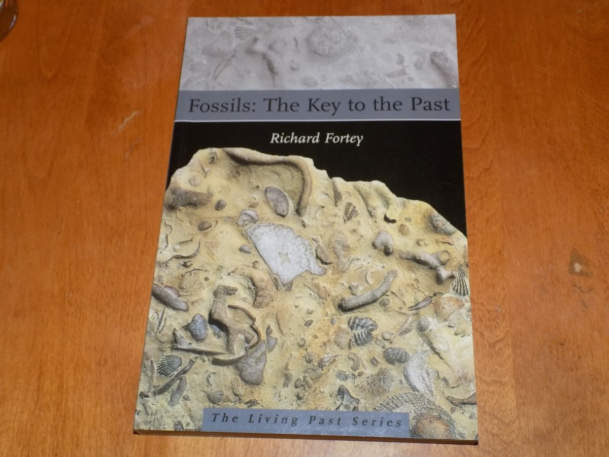 FOSSILS　THE KEY TO THE PAST　化石　FOSSIL FOSSILS THE KEY TO THE PAST Fossil Study Types Type Ancient