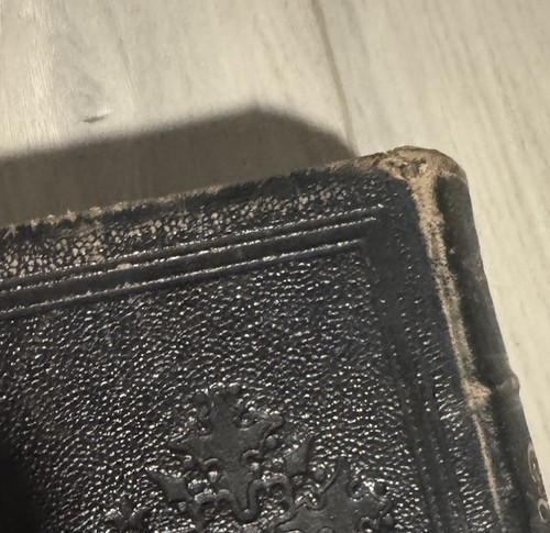 DIE BIBLE MARTIN LUTHER H/C VINTAGE (GERMAN) - Foto 9 di 11