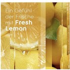 Bild 10 von 11