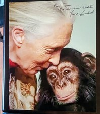 Jane Goodall Signed 8 x 10 With Signed Letter 