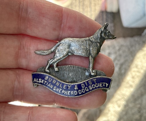 Vintage Burnley & Dist Alsatian Society Enamel pin Badge German Shepherd Dog - Picture 3 of 4