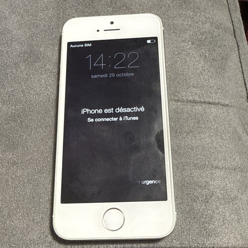 Apple iPhone 5s - Argent - Pour Pièce - Modèle A1457 (697)
