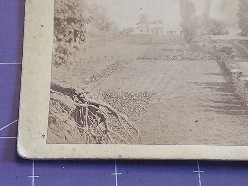 Niagara Falls E Anthony Stereoview Lot Goat Island American Falls From Canada - Picture 11 of 14