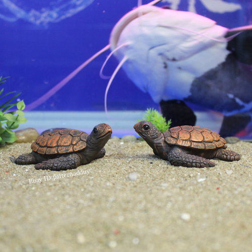 Small Turtle Decorations, Ornaments Garden Beach Micro Landscape, Marine Animals - Picture 3 of 4