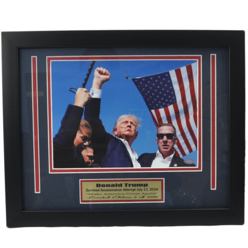Donald Trump Survived Assassination Attempt 16x13 1 Of 1000 Framed Picture Photo