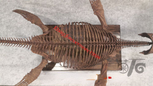 NEW! Liopleurodon Dinosaur Model Animal Skeleton Collector GK 102cm - Picture 9 of 14