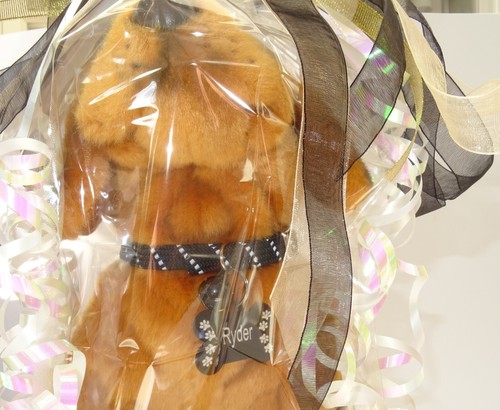 Greyfriars Bobby 12" Spielzeug Hund wie er ist, personalisiert, geschenkverpackt, 3 Optionen - Bild 38 von 43