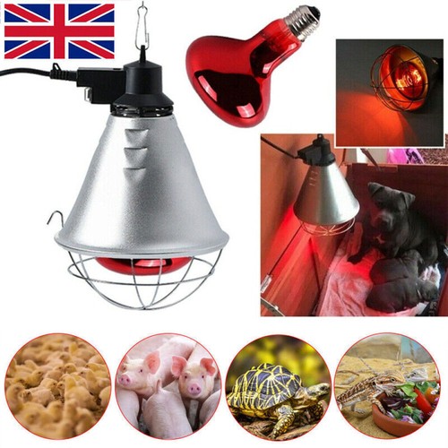 Professional Infared Heat Lamp with 250w Bulb for Whelping, Poultry - Picture 2 of 12