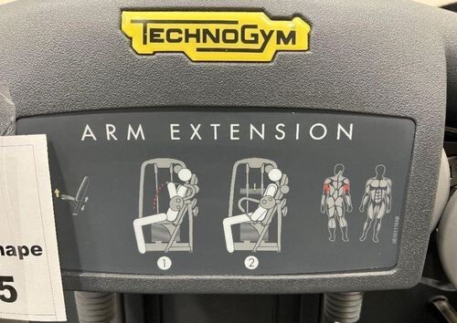 Technogym Selection Arm Tricep Extension Exercise Machine - Picture 5 of 6