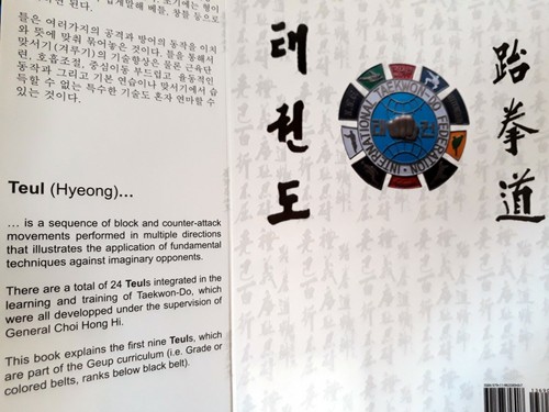 New Official Kukkiwon Taekwondo Form Movements Pattern Techniques Vital Spots - Picture 12 of 12